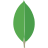 MongoDB Logo